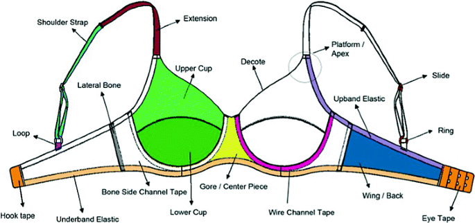 Parts of a bra