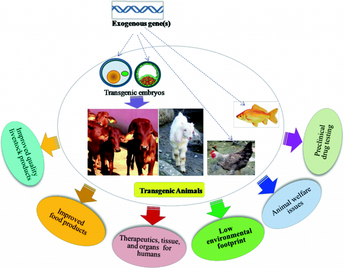 Transgenesis and Genetically Engineered Livestock as Live Bioreactors |  SpringerLink