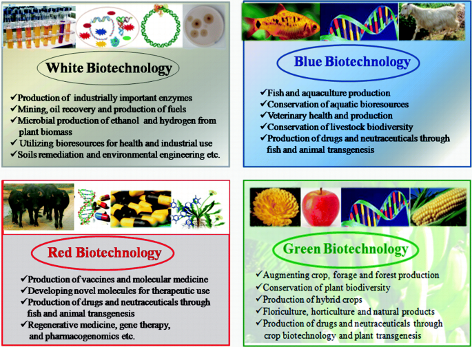Career Opportunities in Animal Biotechnology | SpringerLink Career Opportunities in Animal Biotechnology | SpringerLink
