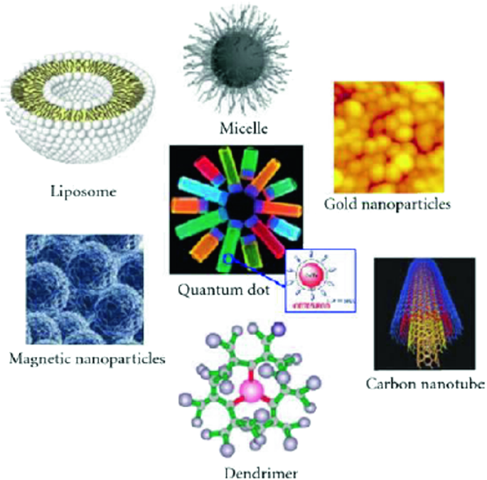 Examples of Nanomaterials with Various Morphologies | SpringerLink