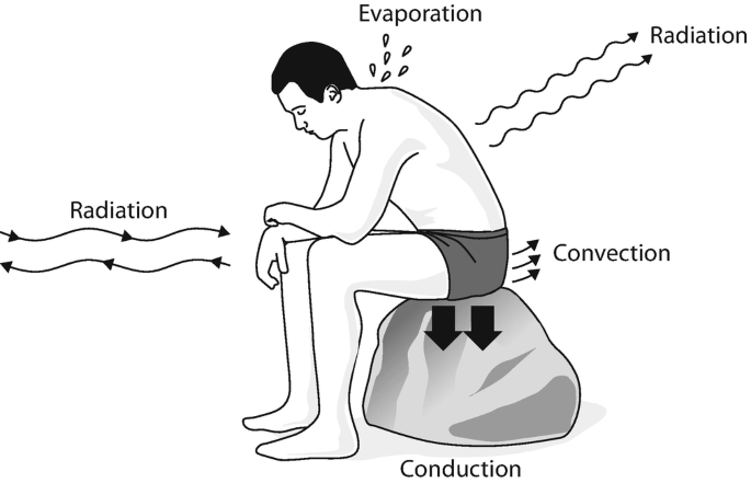 body heat radiation