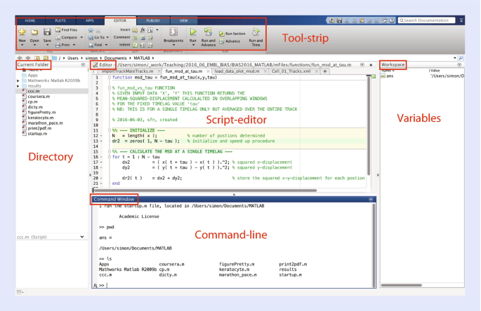 Introduction to MATLAB | SpringerLink