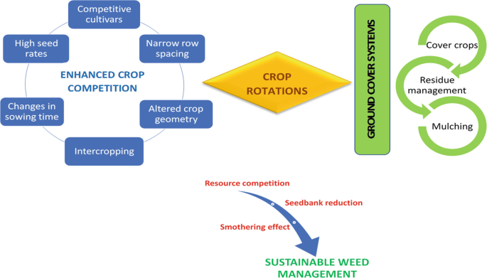 Physio-Chemical Characteristics of Contaminants in Stubborn Grass (Sida