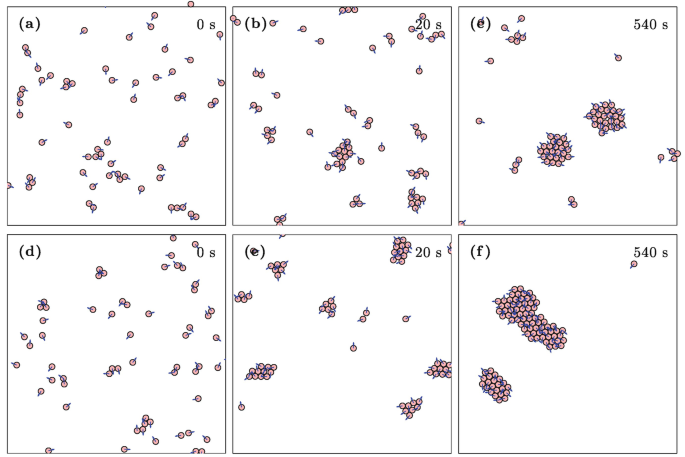 Numerical Simulations of Active Brownian Particles | SpringerLink