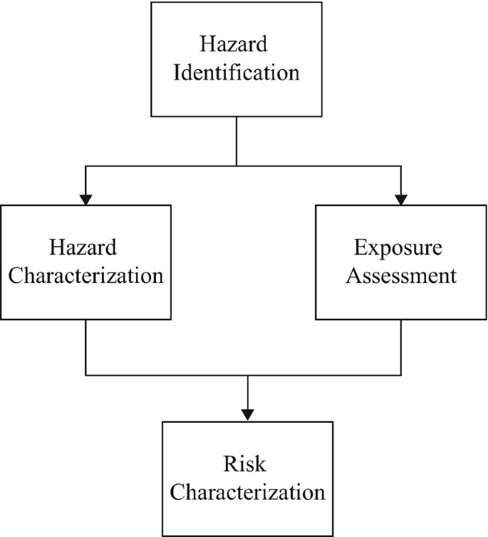 A block diagram begins with hazard identification leads to hazard characterization, exposure assessment. Each further leads to risk characterization.