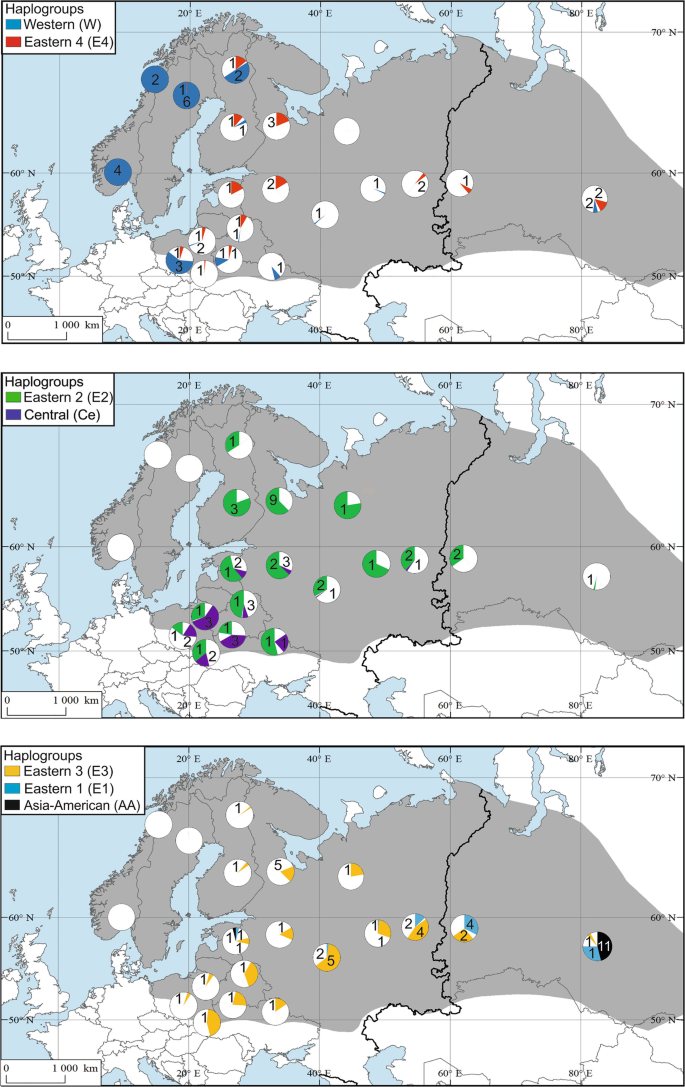 Distribution, prevalence and intensity of moose nose bot fly (Cephenemyia  ulrichii) larvae in moose (Alces alces) from Norway - ScienceDirect