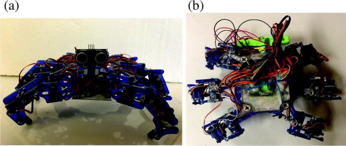 Crab-Like Hexapod Feet for Amphibious Walking in Sand and Waves |  SpringerLink