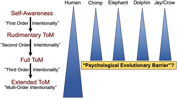 The illustration of the psychological evolutionary barrier theory of mind. This includes the psychological evolutionary barrier for Human, Chimp, Elephant, Dolphin, Jay or Crow. The flow diagram includes self awareness, rudimentary T o M, full T o M, extended T o M.
