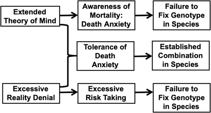 The workflow diagram for mortality salience. It includes extended theory of mind and excessive reality denial. These lead to failure to fix genotype in species, and established combination in species.