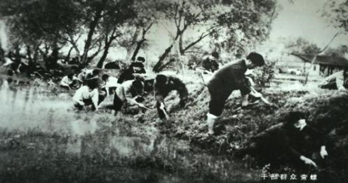 Experiences And Cases On Schistosomiasis Control Research Springerlink