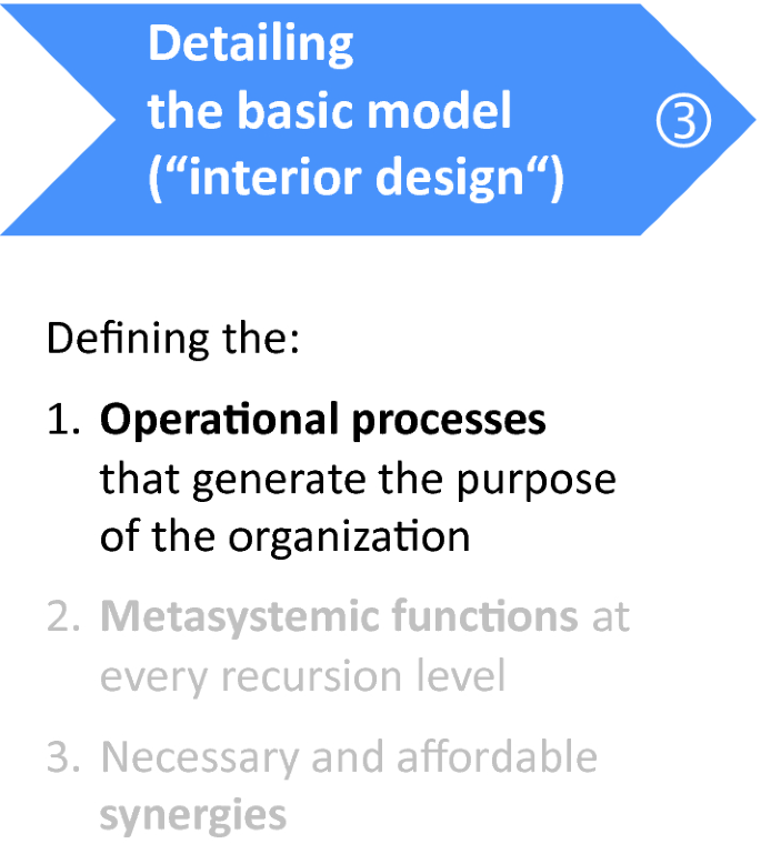A process diagram depicts 3 points that have to define under detailing the basic model. These are operational processes, metasystemic functions, and necessary and affordable synergies.