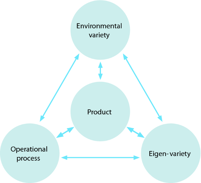 A triangle diagram presents environmental variety, operational process, and Eigen variety on its three vertexes and product is in the center.