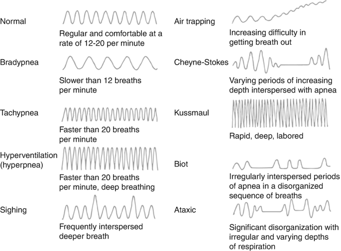 Spontaneous Breathing Pattern