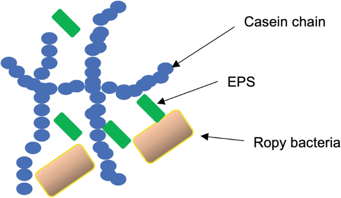 figure 24