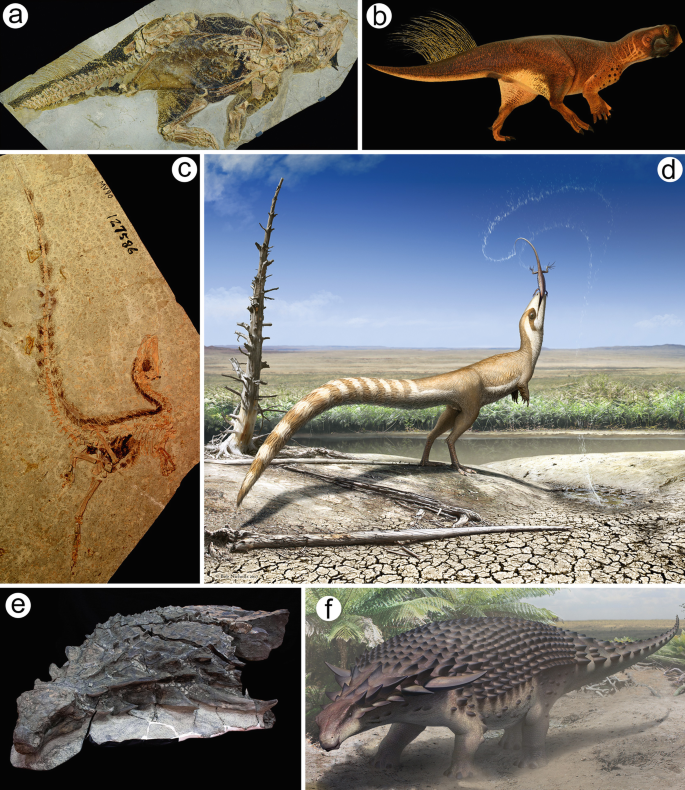 Flattened Ichthyosaur Fossil Gets New Life With X-ray Vision - The New York  Times