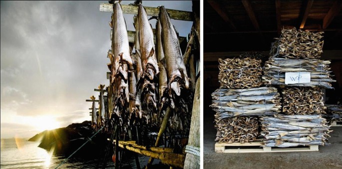 Nigeria, largest stockfish importer from Norway – Report