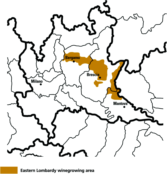 A map highlights the wine-growing areas in Eastern Lombardy. They are Brescia, Mantova, and Bergamo. It also labels Milano toward the west.