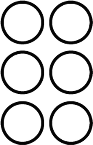 A diagram of 6 circles, 2 sets of 3 circles arranges vertically parallels to each other.