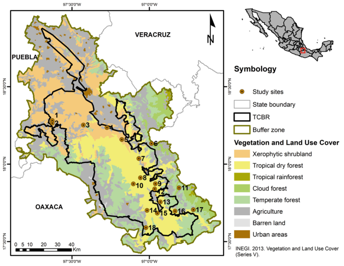 Human trophies in Central Mexican cultures. (a) Basal register of a