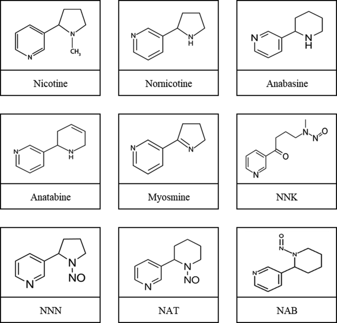 tobacco specific nitrosamines Impact of Genetics and Production Practices on Tobacco-Specific Nitrosamine  Formation