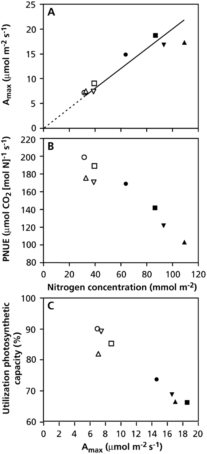 Photosynthesis, Respiration, and Long-Distance Transport: Photosynthesis |  SpringerLink