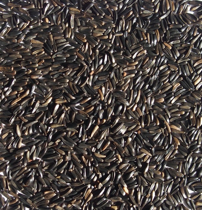 all season flower seeds Spring Into Summer Seasonal Wildflower Seed Mix