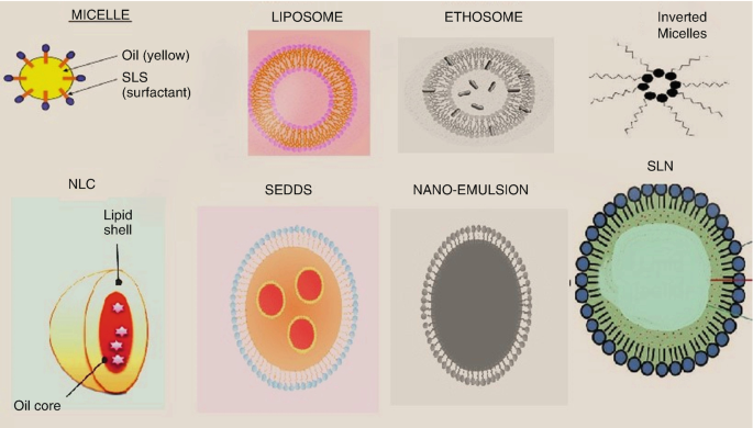 Nanolipidic Carriers As Potential Drug Delivery Vehicles In Alzheimer S Disease Springerlink