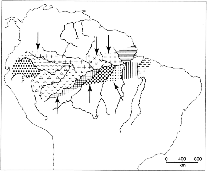 Avian Diversity in Humid Tropical and Subtropical South American Forests,  with a Discussion About Their Related Climatic and Geological Underpinnings  | SpringerLink