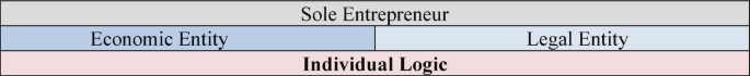 The table illustrates the individual logic of a company, it has two entities economic entity and a legal entity, and a sole entrepreneur.