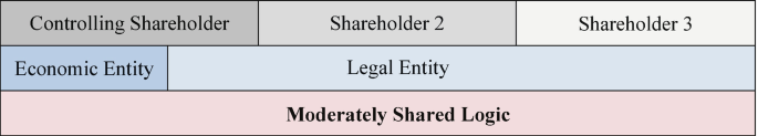 The table illustrates the moderately shared logic. It has a controlling shareholder, and 2 more shareholders, with two entities economic and legal entities.