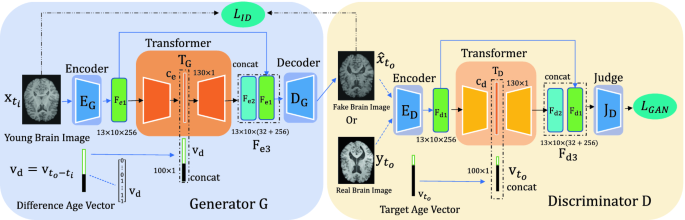 Fake brain 3 Diagram