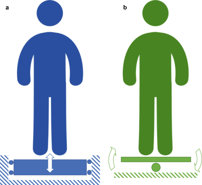 The application of whole-body vibration training in knee osteoarthritis -  ScienceDirect