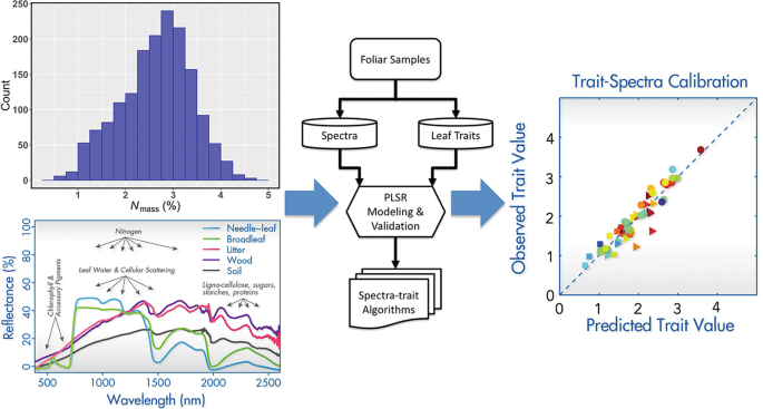 The Evolution of Plant Functional Variation: Traits, Spectra, and