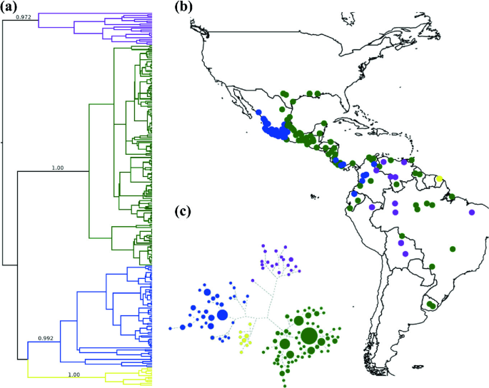 3 Distribution map of the nine toxic species of the genus