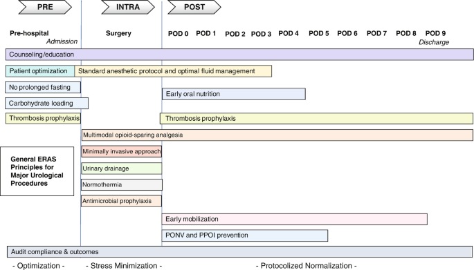 PDF) Enhanced Recovery After Surgery Protocols in Major Urologic Surgery