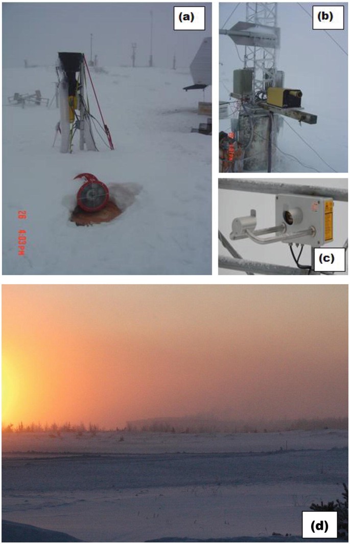 Arctic Ice Fog: Its Microphysics and Prediction | SpringerLink