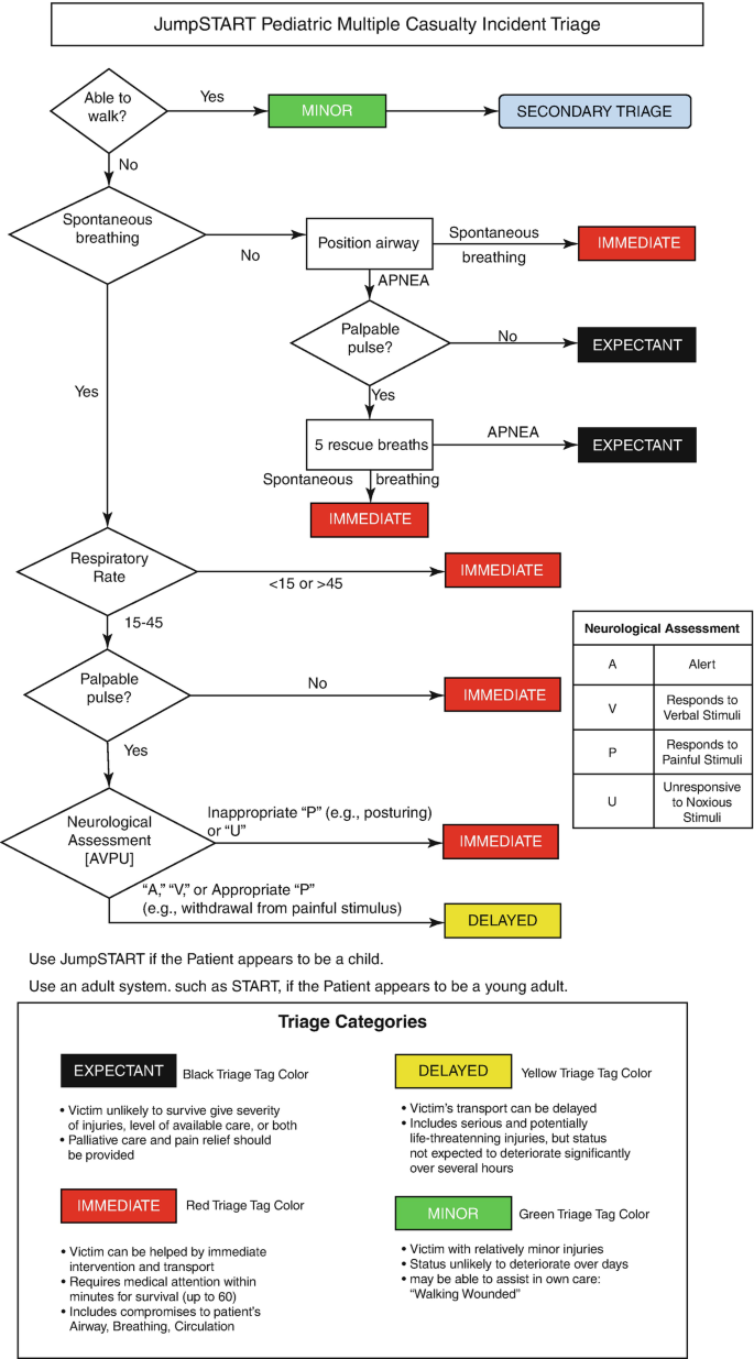 Basics of Hospital Response | SpringerLink