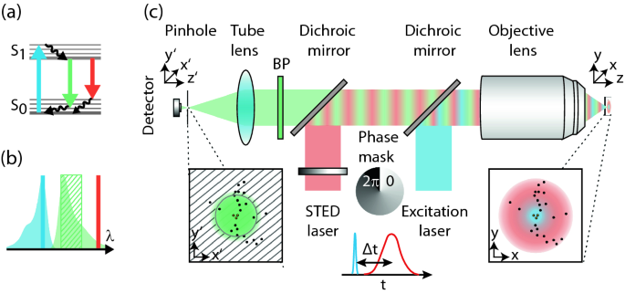 Figure 3 from Stimulated Emission Depletion (STED) Microscopy: from Theory  to Practice