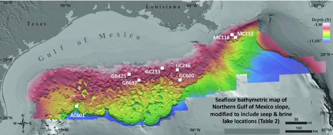 The Gulf of Mexico: An Introductory Survey of a Seep Dominated