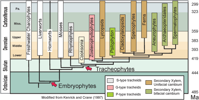 figure 20