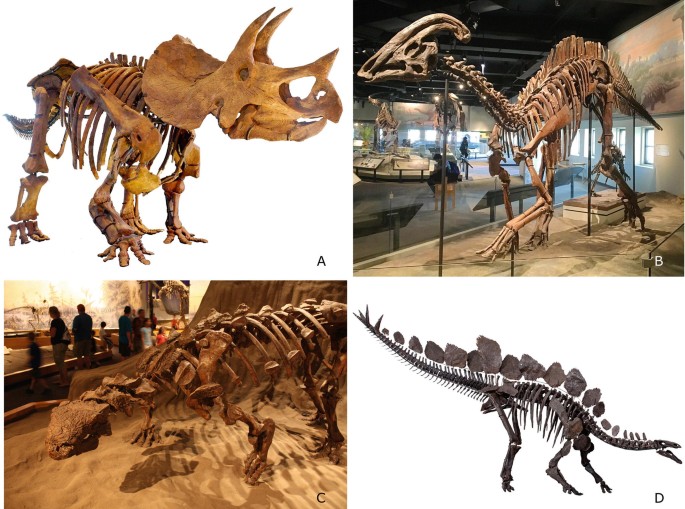 Dinosaurs, But Not Only: Vertebrate Evolution in the Mesozoic