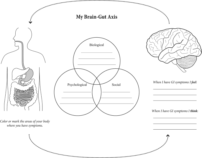 A flowchart demonstrates my brain-gut axis. It represents the interconnection between the brain and the G I tract. It possesses a Venn diagram between biological, psychological, and social.