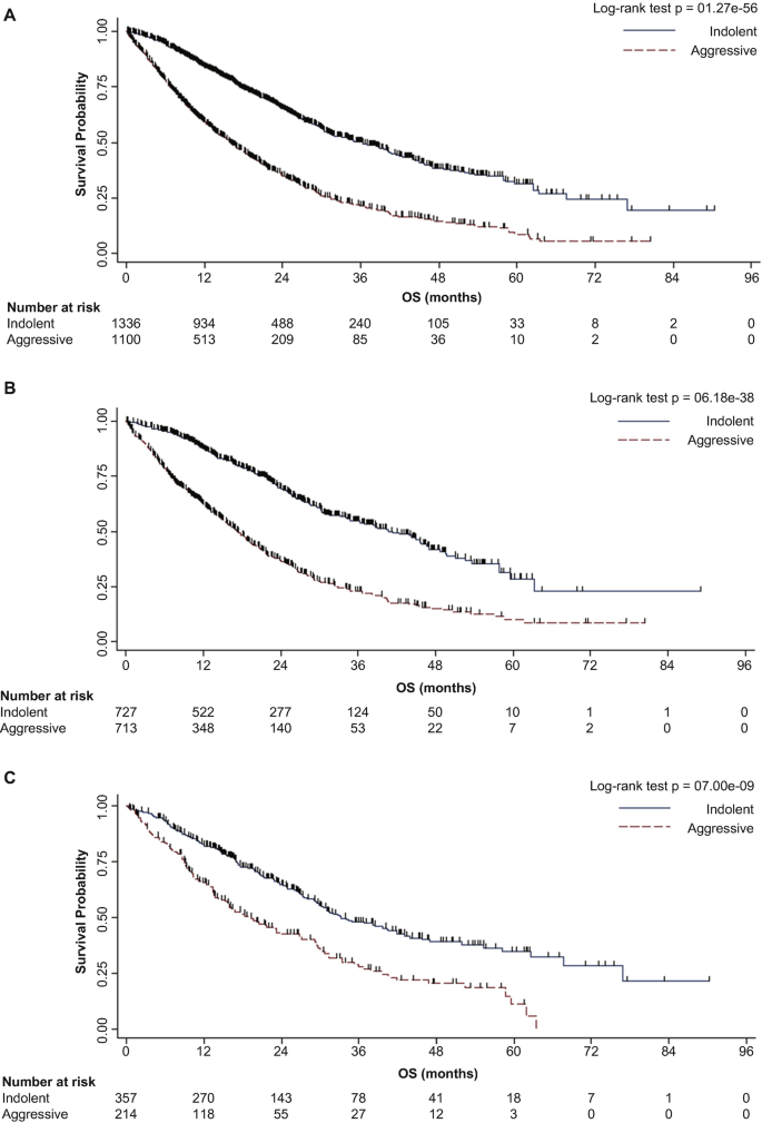 Clinical Relevance and Therapeutic Application of CTCs in Advanced ...