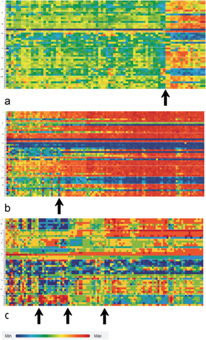 A set of 3 head map diagrams labeled a to c with a color scale. The color scale has multiple colors, from minimum to maximum.