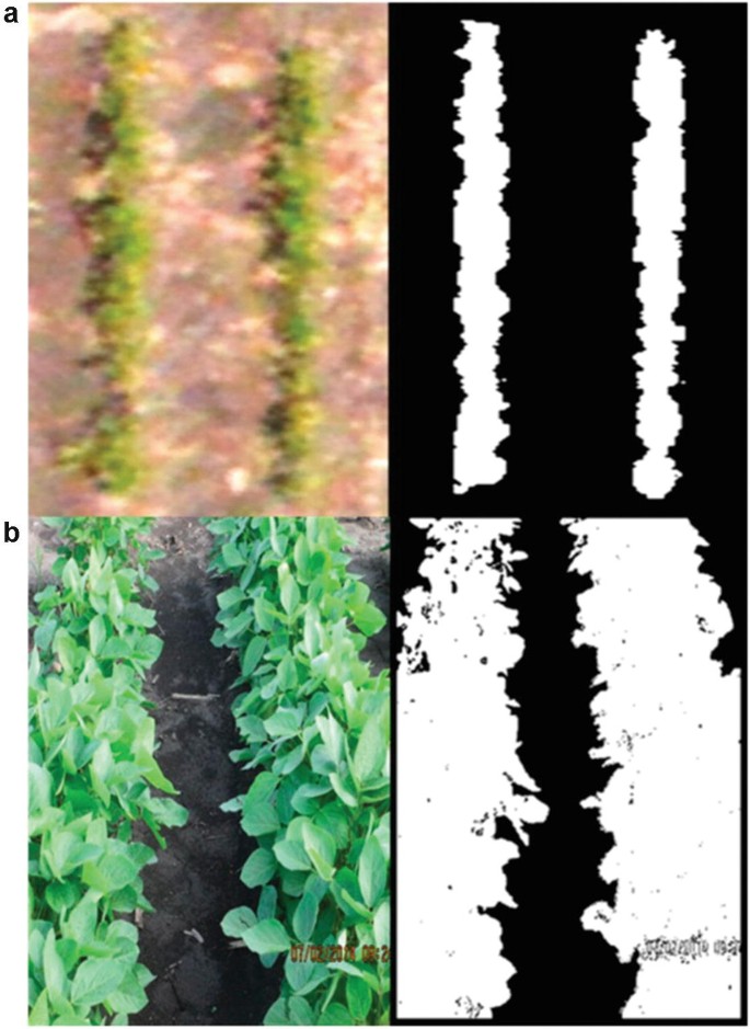 Photographs of a soy-bean canopy from above and the ground, with the scans of the canopy covering areas.