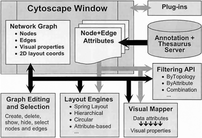 A schematic diagram of the Cytoscape architecture comprises a Cytoscape window with plug-ins, a server, a filtering A P I, a visual mapper, layout engines, and graph editing and selection.