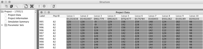 A screenshot of the Structure window has a table with twelve columns and ten rows. The columns are titled Label, Pop I D, and Loci 1 through 10.