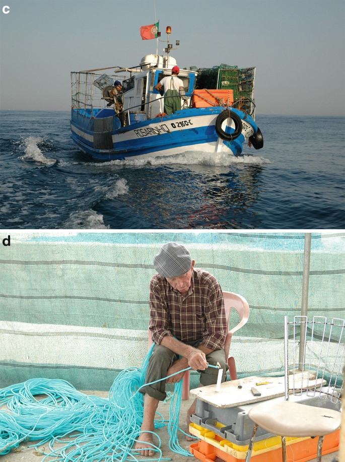 Small-Scale Fisheries in Portugal: Current Situation, Challenges