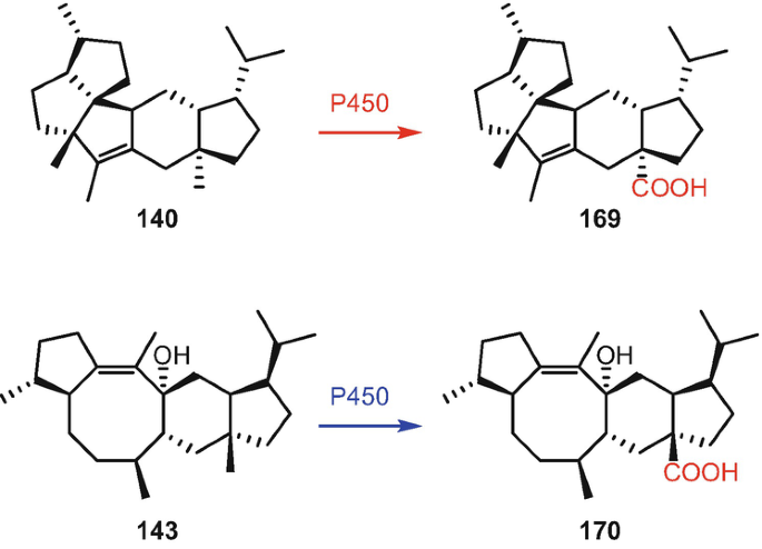 figure 119