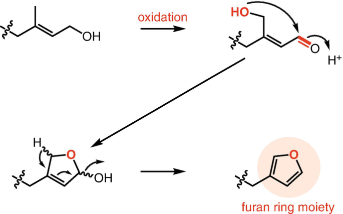 figure 19